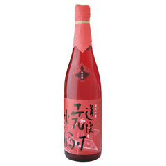 道後焼酎 振鷺閣